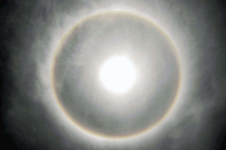 Glare & Halos