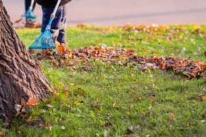 Gardening & Outdoor cleaning