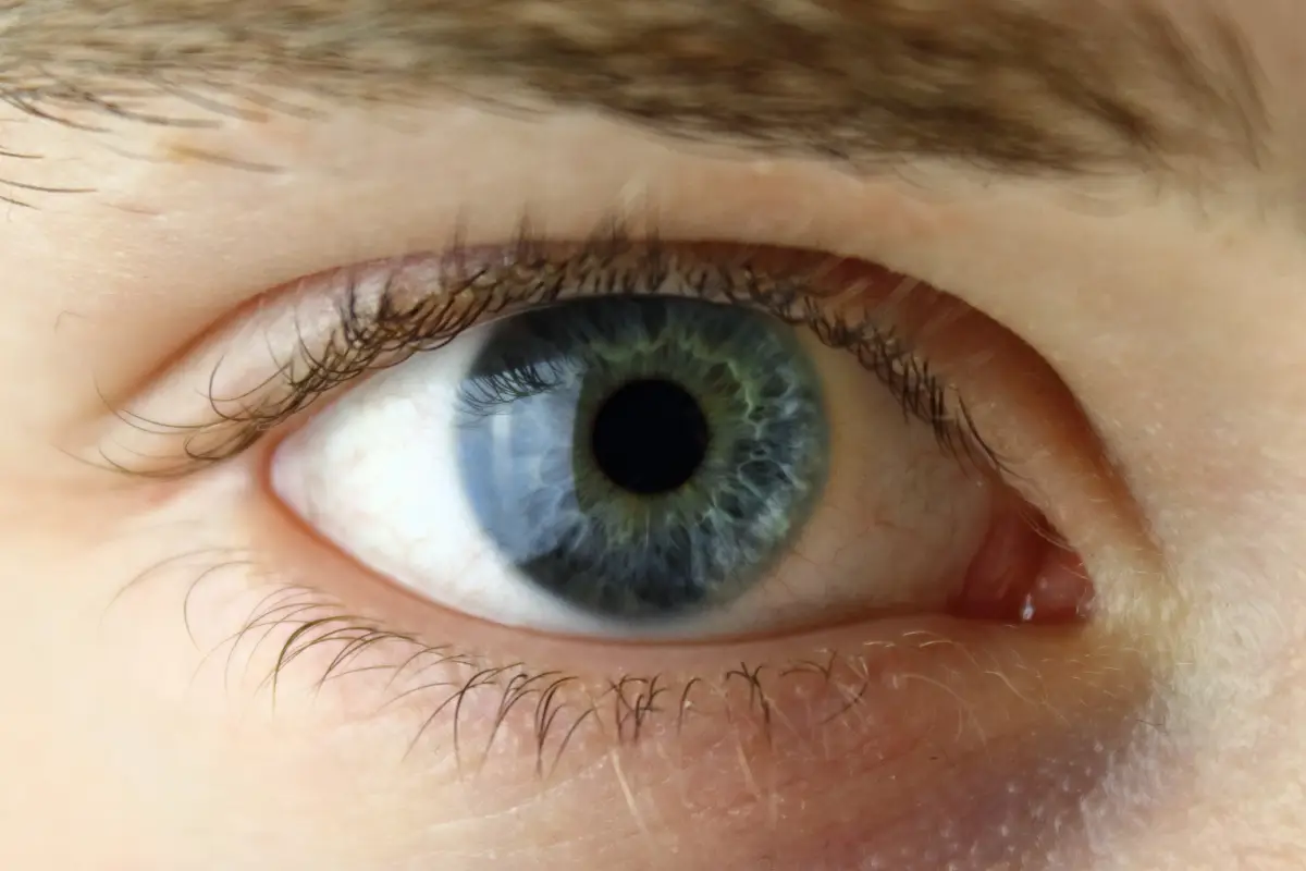 What is a normal eye pressure range