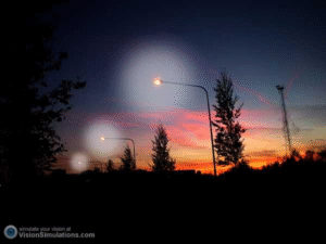 Seeing halos around lights