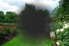 Blurred or Distorted Vision